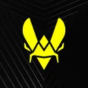 TEAM VITALITY Discord server icon