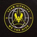 TEAM VITALITY Discord server icon